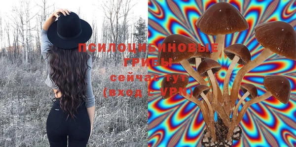 стаф Баксан