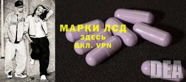 стаф Баксан