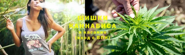 стаф Баксан